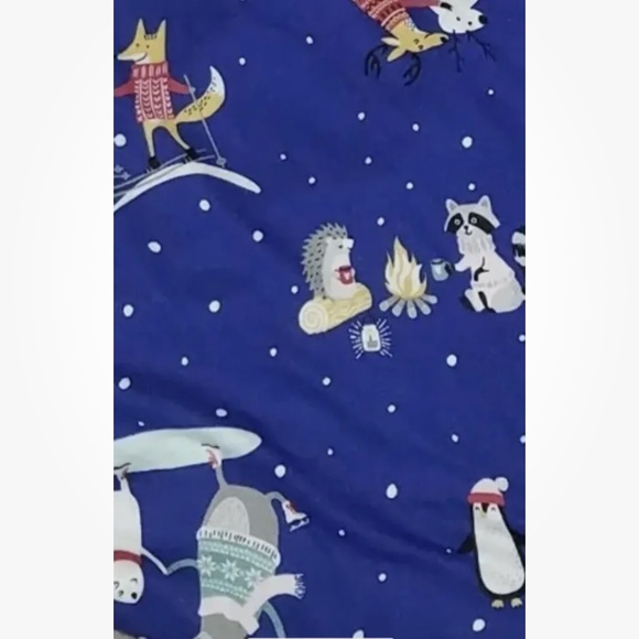 Secret Treasures Women’s LS Pajama Set Blue Animal Print Size Small (4-6) NEW - Picture 9 of 10